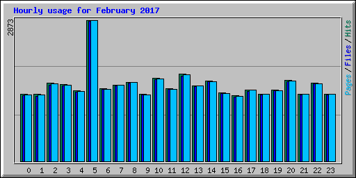 Hourly usage for February 2017