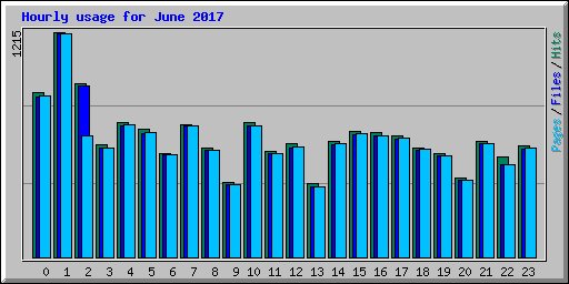 Hourly usage for June 2017