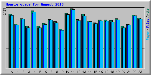 Hourly usage for August 2018